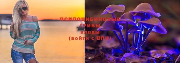 спайс Алзамай