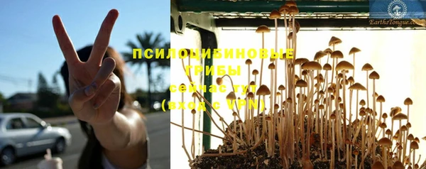 соль курить ск Алексеевка