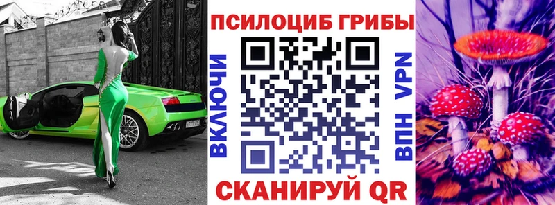 Псилоцибиновые грибы GOLDEN TEACHER  Краснокамск 